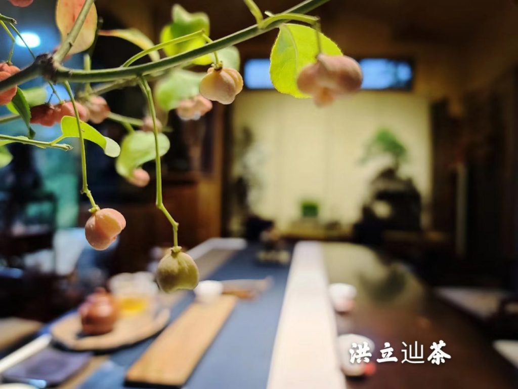茶之道 – 视频