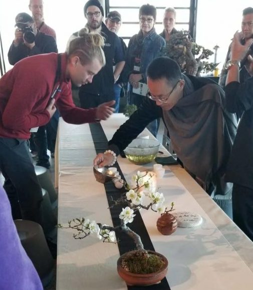 徐洪立参加国际盆景艺术展