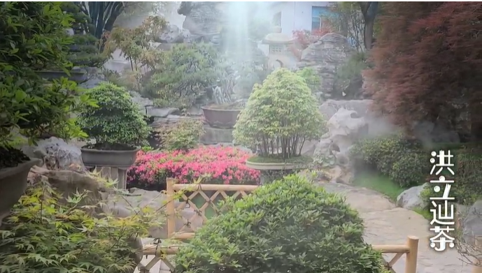 园林，小巷，庭院